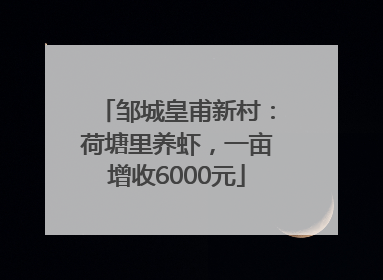 邹城皇甫新村：荷塘里养虾，一亩增收6000元