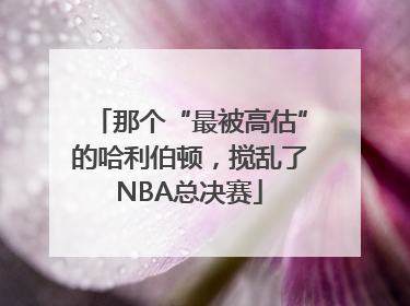 那个“最被高估”的哈利伯顿，搅乱了NBA总决赛