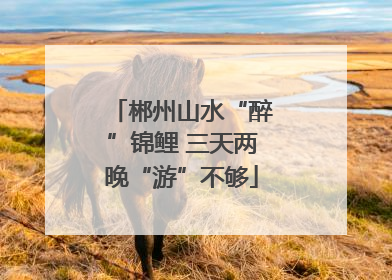 郴州山水“醉”锦鲤 三天两晚“游”不够