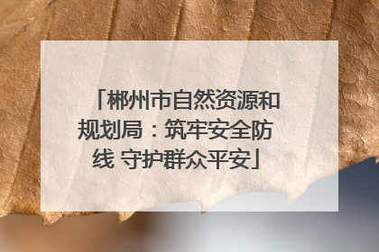 郴州市自然资源和规划局：筑牢安全防线 守护群众平安