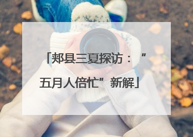 郏县三夏探访：“五月人倍忙”新解