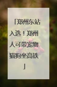 郑州东站入选！郑州人可带宠物猫狗坐高铁