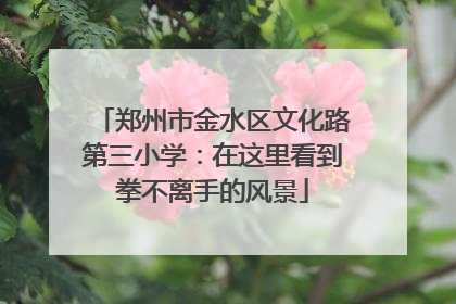 郑州市金水区文化路第三小学：在这里看到拳不离手的风景