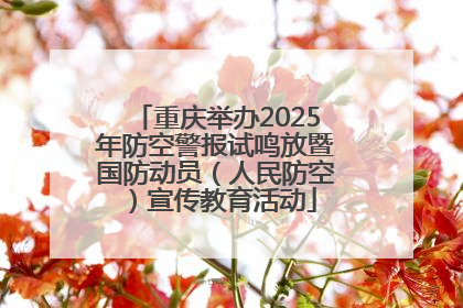 重庆举办2025年防空警报试鸣放暨国防动员（人民防空）宣传教育活动