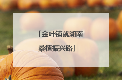 金叶铺就湖南桑植振兴路