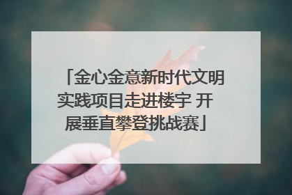 金心金意新时代文明实践项目走进楼宇 开展垂直攀登挑战赛