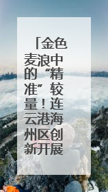 金色麦浪中的“精准”较量！连云港海州区创新开展机收减损技能竞赛