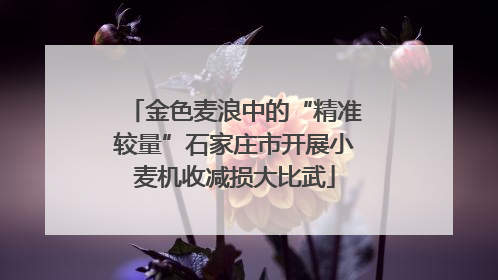 金色麦浪中的“精准较量”石家庄市开展小麦机收减损大比武