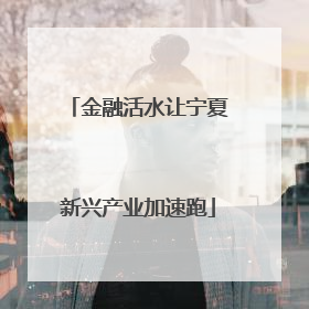 金融活水让宁夏新兴产业加速跑