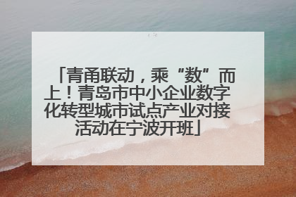 青甬联动，乘“数”而上！青岛市中小企业数字化转型城市试点产业对接活动在宁波开班