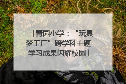 青园小学：“玩具梦工厂”跨学科主题学习成果闪耀校园