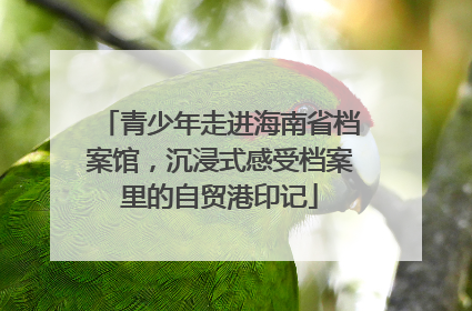 青少年走进海南省档案馆，沉浸式感受档案里的自贸港印记