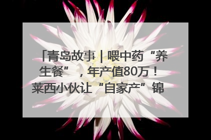青岛故事｜喂中药“养生餐”，年产值80万！莱西小伙让“自家产”锦鲤“游”向全国