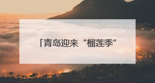 青岛迎来“榴莲季” 6月中旬批发价有望跌破每斤20元