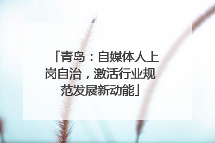 青岛：自媒体人上岗自治，激活行业规范发展新动能