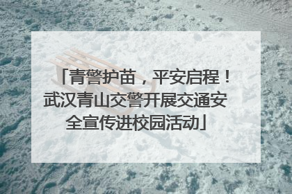 青警护苗，平安启程！武汉青山交警开展交通安全宣传进校园活动