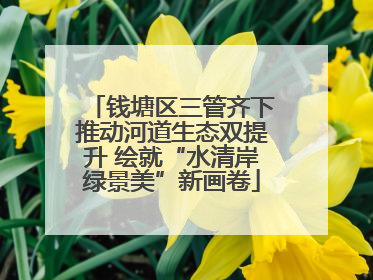 钱塘区三管齐下推动河道生态双提升 绘就“水清岸绿景美”新画卷