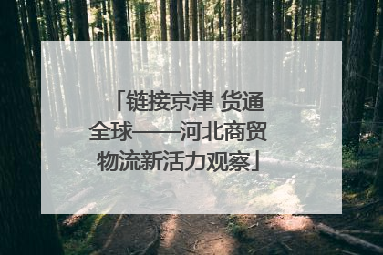 链接京津 货通全球——河北商贸物流新活力观察