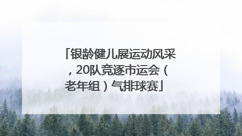 银龄健儿展运动风采，20队竞逐市运会（老年组）气排球赛