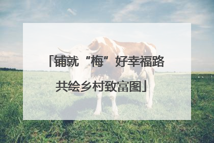 铺就“梅”好幸福路 共绘乡村致富图
