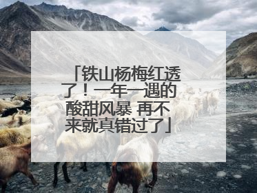 铁山杨梅红透了！一年一遇的酸甜风暴 再不来就真错过了