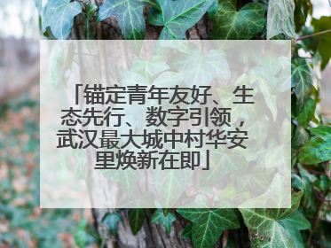 锚定青年友好、生态先行、数字引领，武汉最大城中村华安里焕新在即