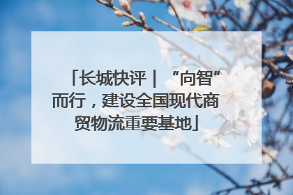 长城快评｜“向智”而行，建设全国现代商贸物流重要基地