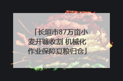 长垣市87万亩小麦开镰收割 机械化作业保障夏粮归仓
