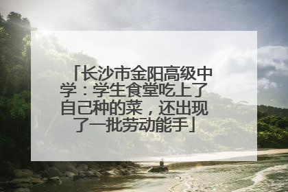 长沙市金阳高级中学：学生食堂吃上了自己种的菜，还出现了一批劳动能手