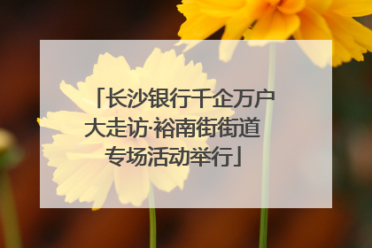 长沙银行千企万户大走访·裕南街街道专场活动举行