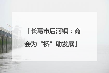长葛市后河镇：商会为“桥”助发展