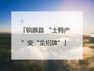 镇原县 “土特产”变“金招牌”