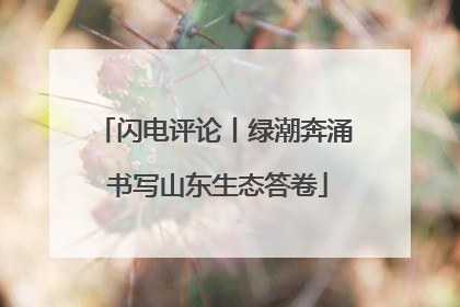 闪电评论丨绿潮奔涌 书写山东生态答卷