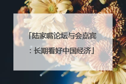 陆家嘴论坛与会嘉宾：长期看好中国经济
