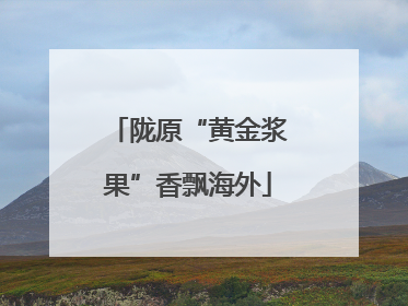 陇原“黄金浆果”香飘海外
