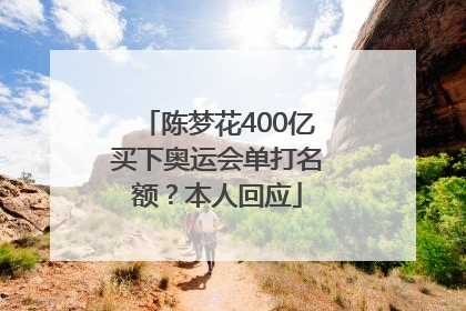陈梦花400亿买下奥运会单打名额？本人回应