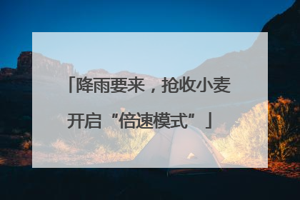 降雨要来，抢收小麦开启“倍速模式”