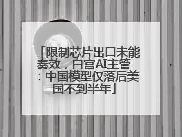 限制芯片出口未能奏效，白宫AI主管：中国模型仅落后美国不到半年