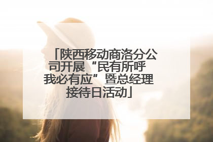 陕西移动商洛分公司开展“民有所呼 我必有应”暨总经理接待日活动