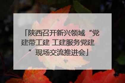 陕西召开新兴领域“党建带工建 工建服务党建”现场交流推进会