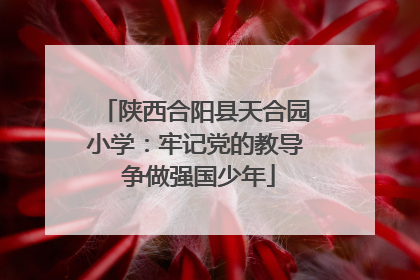 陕西合阳县天合园小学：牢记党的教导 争做强国少年