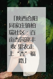 陕西合阳同家庄镇柏瑞社区：百亩杏园迎丰收 果农走上“杏”福路