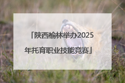 陕西榆林举办2025年托育职业技能竞赛