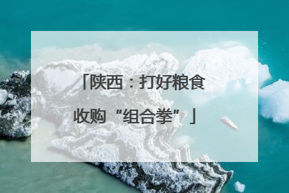 陕西：打好粮食收购“组合拳”