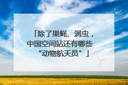 除了果蝇、涡虫，中国空间站还有哪些“动物航天员”