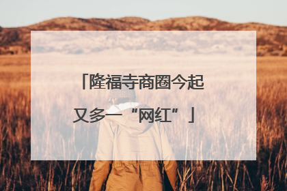 隆福寺商圈今起又多一“网红”