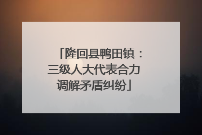 隆回县鸭田镇：三级人大代表合力调解矛盾纠纷