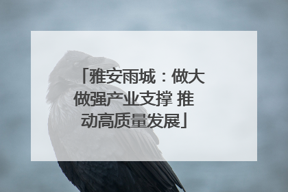 雅安雨城：做大做强产业支撑 推动高质量发展