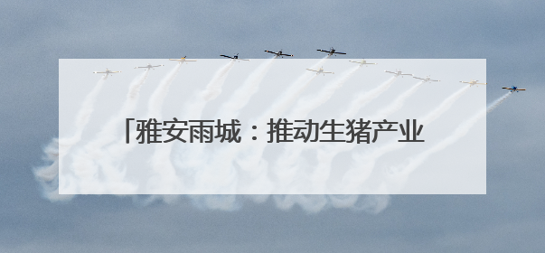 雅安雨城：推动生猪产业实现规模与效益双重跃升