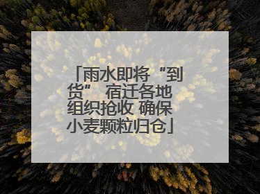 雨水即将“到货” 宿迁各地组织抢收 确保小麦颗粒归仓